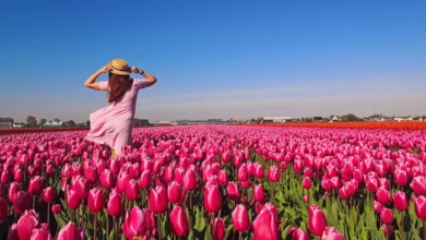 Best Countries to Visit